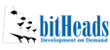 bitHeads